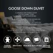 DreamZ 700GSM All Season Goose Down Feather Filling Duvet in Double Size