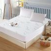 Fitted Waterproof Bed Mattress Queen