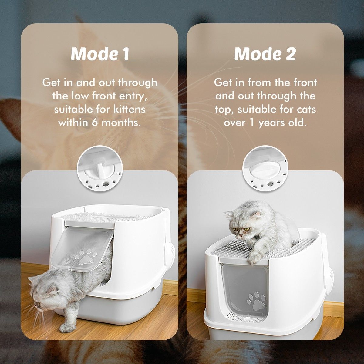 https://img.crazysales.com.au/products_pictures/217/217757_1693883_F.jpg