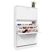 Modern 3-Drawer Shoe Cabinet Shoe Organizer Rack