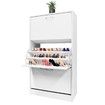 Modern 3-Drawer Shoe Cabinet Shoe Organizer Rack