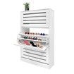 45 Pair Wood Shoe Storage Cabinet 3 Door Shoe Organizer Rack