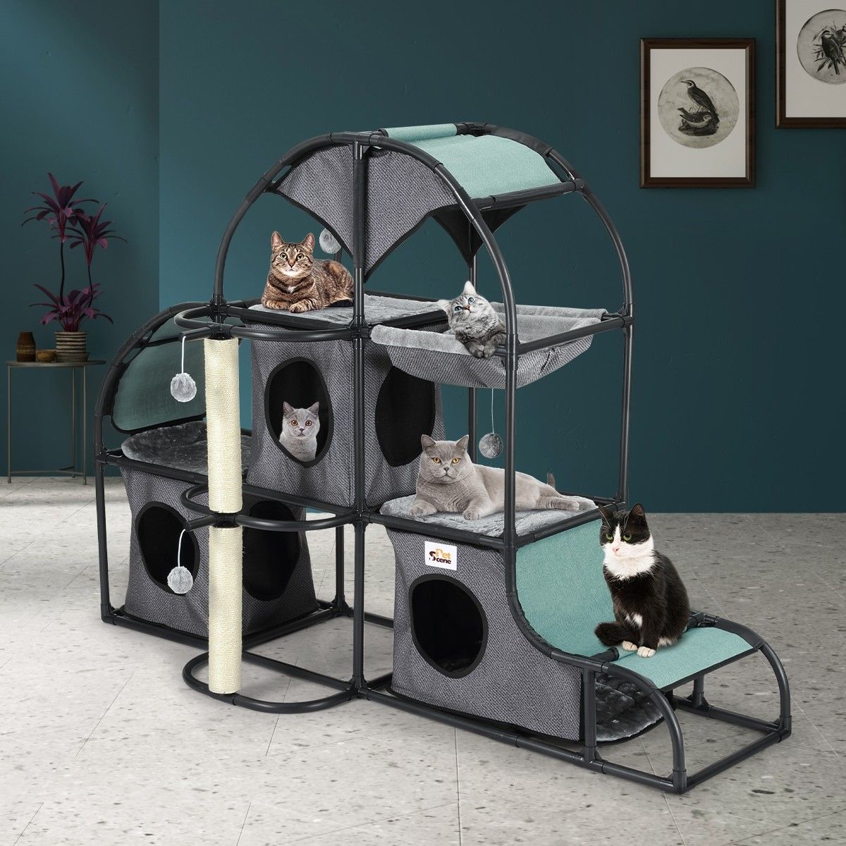 https://img.crazysales.com.au/products_pictures/217/217981_1697147_F.jpg