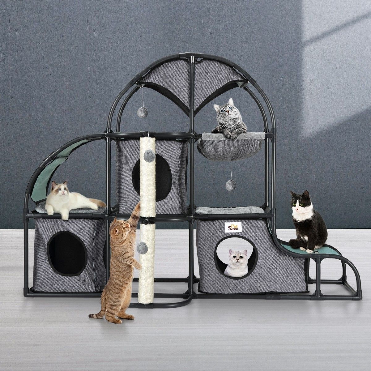 https://img.crazysales.com.au/products_pictures/217/217981_1697149_F.jpg