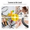 10 Inch LED Ring Light Selfie Ring Light with Desktop Stand for Live Video Photography