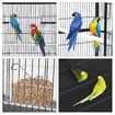 Large Bird Cage Aviary Budgie Parrot Canary House Pet Cockatiel Flight Enclosure Perches on Wheels Indoor Wrought Iron