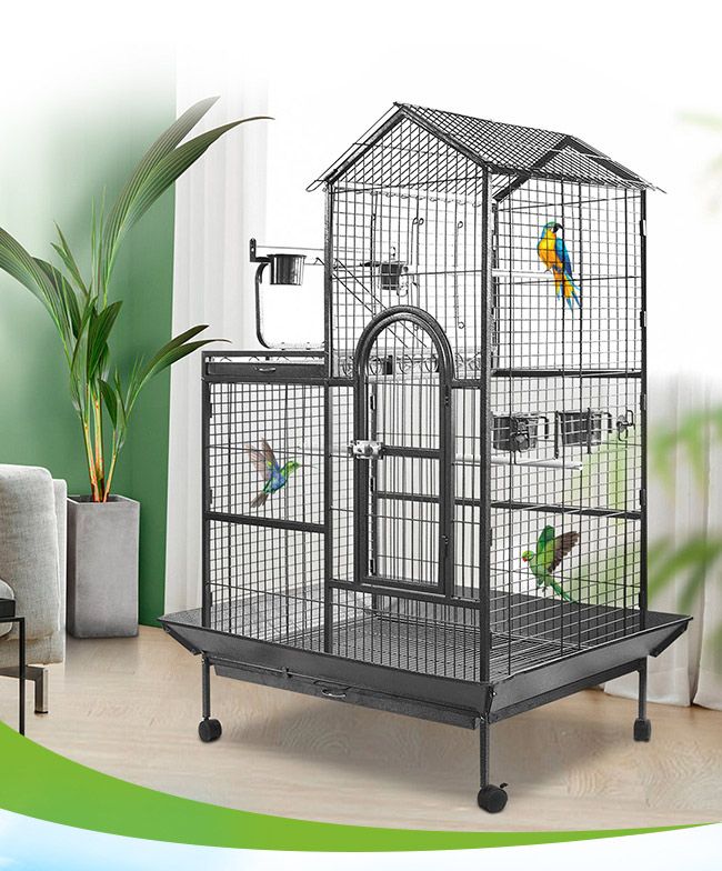 bird cages on craigslist
