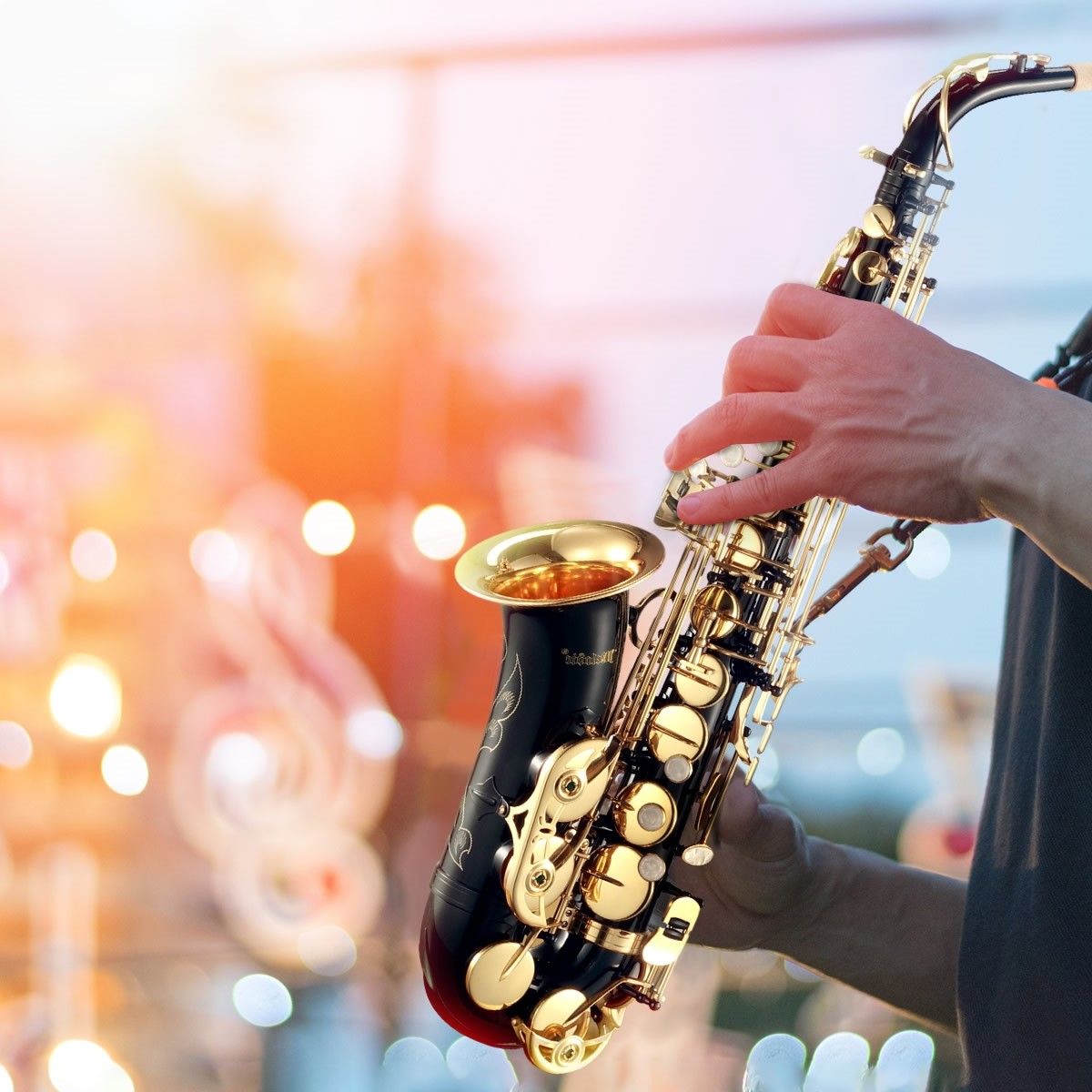 Melodic Eb Be Eflat Alto Saxophone Alto Sax for Beginner Student