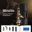 Melodic Eb Be E-flat Alto Saxophone Alto Sax for Beginner Student