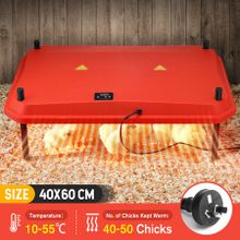 Chick Brooder Heating Plate Warmer Chicken Coop Brooding Heater Poultry Duckling Chook 40x60cm 40-50 Chicks Adjustable Height