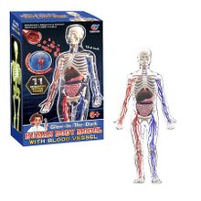 Mannequin Toy DIY Human Organ Puzzle Educational Science Kit for Primary & Secondary Students