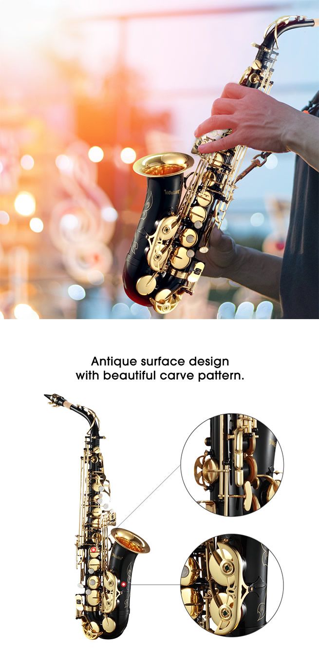 Melodic Eb Be Eflat Alto Saxophone Alto Sax for Beginner Student