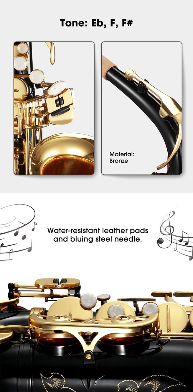 Melodic Eb Be Eflat Alto Saxophone Alto Sax for Beginner Student