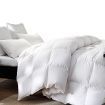 DreamZ 500GSM All Season Goose Down Feather Filling Duvet in Double Size