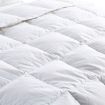 DreamZ 500GSM All Season Goose Down Feather Filling Duvet in Double Size