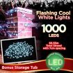 Stockholm Christmas String Lights 1000 LEDs Cool White Flashing Outdoor Garden Xmas 69.9M