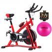 Norflex Spin Bike Exercise Ball Flywheel Fitness Commercial Home Workout Gym R