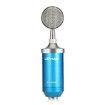 LEIHAO BM - 8000 Professional Sound Studio Recording Condenser Microphone