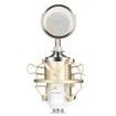 LEIHAO BM - 8000 Professional Sound Studio Recording Condenser Microphone