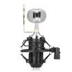 LEIHAO BM - 8000 Professional Sound Studio Recording Condenser Microphone