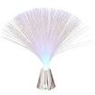 YWXLight Beautiful Romantic Color Changing LED Fiber Optic Night Light Lamp