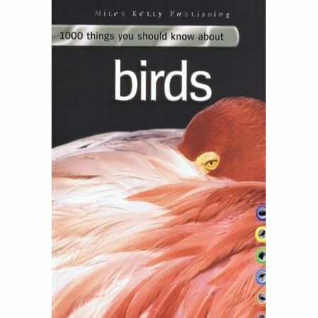 1000 things you should know about Birds By Jinny Johnso
