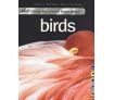 1000 things you should know about Birds By Jinny Johnso