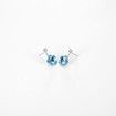 Crystal S925 Sterling Silver Lovely Flower Pop Earrings