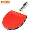 BOER Table Tennis 1 Star Ping Pong Racket Paddle