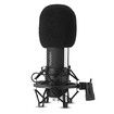 Yanmai Q8 Professional Condenser Microphone