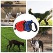 Pugga Flexible Telescopic Rope for Pet Dog