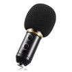 BM - 300FX Audio Sound Recording Condenser Microphone with Foldable Tripod