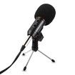 BM - 300FX Audio Sound Recording Condenser Microphone with Foldable Tripod