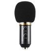 BM - 300FX Audio Sound Recording Condenser Microphone with Foldable Tripod