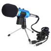 BM - 300FX Audio Sound Recording Condenser Microphone with Foldable Tripod