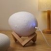 3D Printing Egg Light Patting Night Lamp 3 Colors for Bedroom