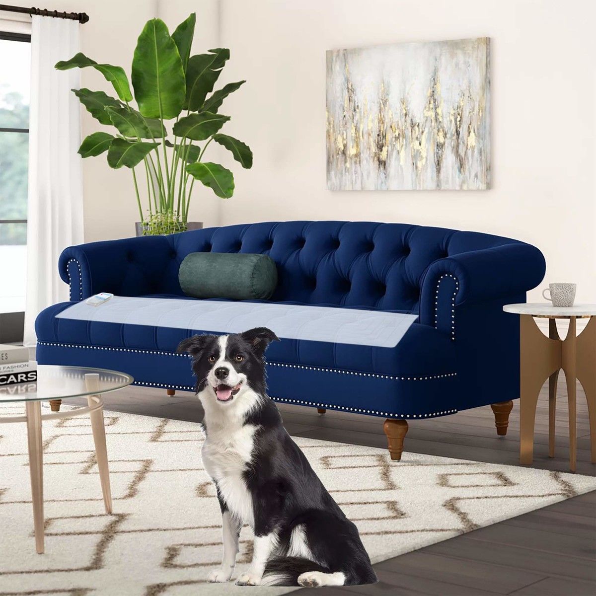 Pet Training Shock Mat for Dogs Cats Keep Pets Off Furniture, Safe Dog