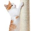 Cat Scratching Post Climbing Tree Pole Tower Plush Condo Playhouse Perches Dangling Rope Toys 123cm Tall