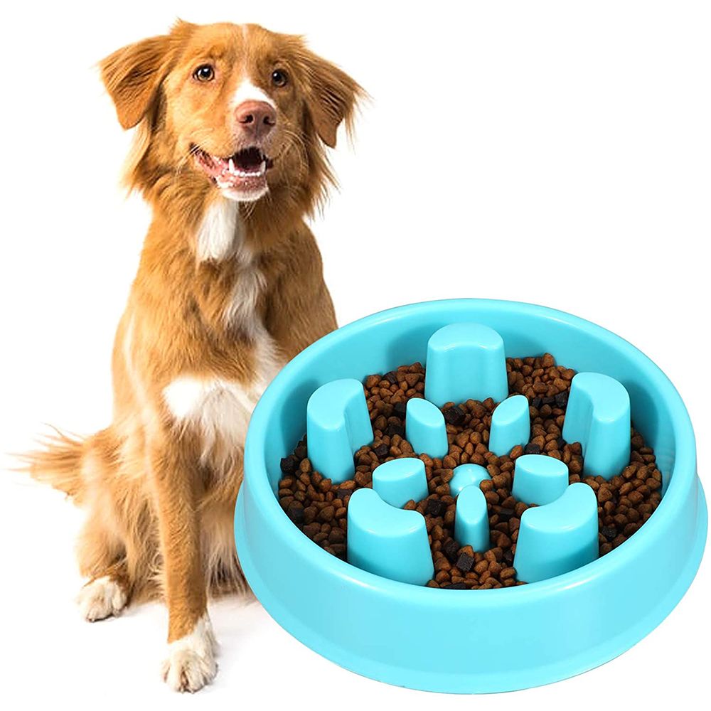 Slow Feeder Dog Bowl, Anti-Gulping Dog Bowl Bloat Stop Water Dog Bowl for Small/Medium Dogs