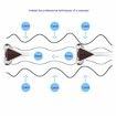 Solar 3D Microcurrent Facial Roller Tools-Face Massager Or Body Massager