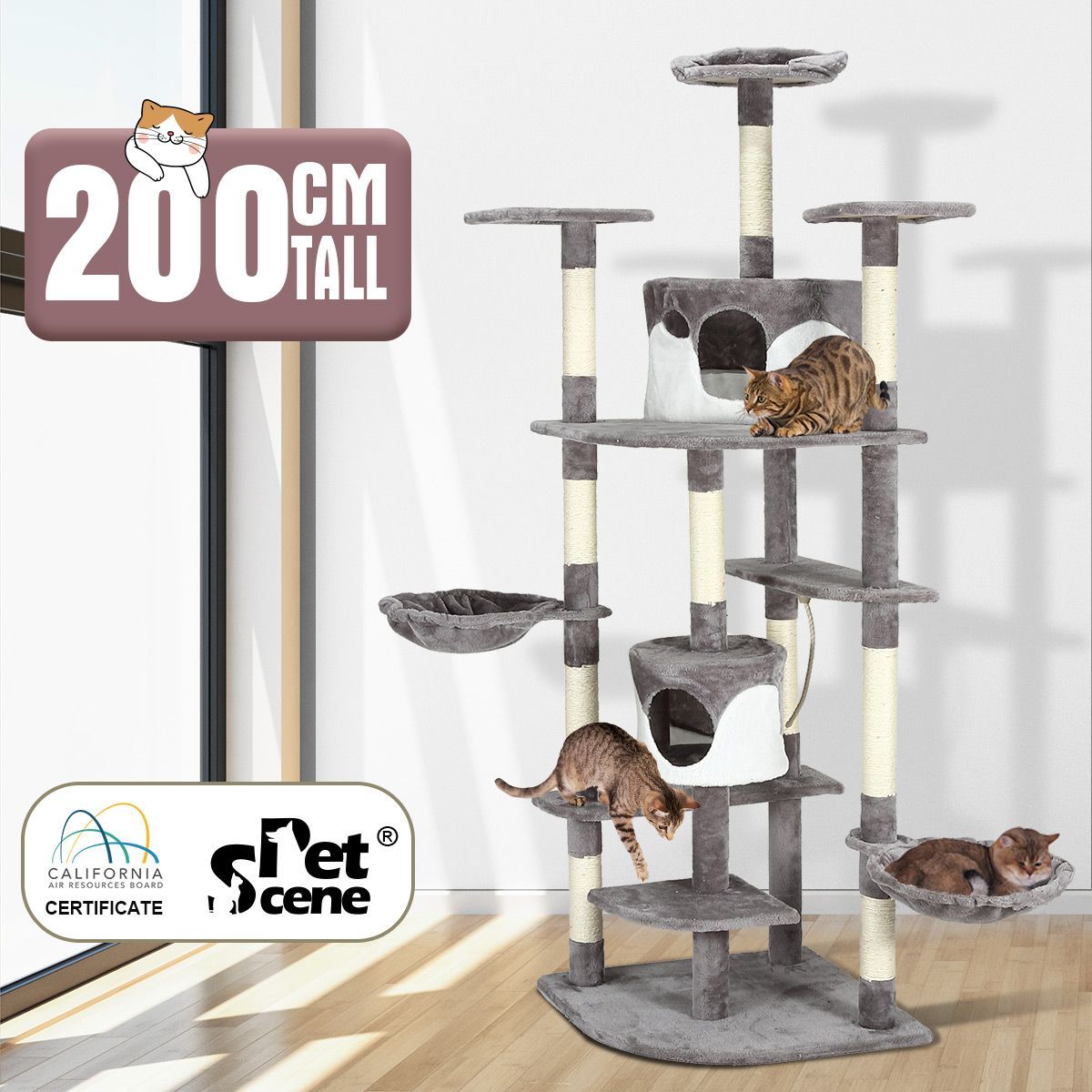 Crazy sales outlet cat tree