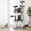 Cat Scratching Post Climbing Pole Tower Tree Playhouse Center w/ Scratcher Condo House Ladder Toys 163cm Tall 5 Levels