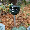 Solar Powered Ultrasonic Animal Repeller PIR Sensor Animal Cats Dogs Repellent