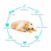 Dog Chew Toy for Aggressive Chewers, IQ Treat Boredom Dog Toys, Bounce Molar Vocalize Interactive Dog Toys for Large Medium Small Dogs