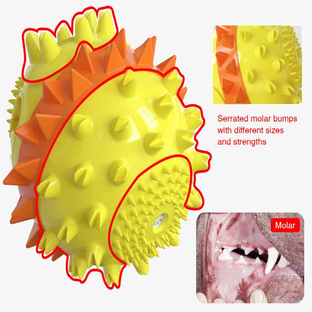 https://img.crazysales.com.au/products_pictures/240/240985_1913319_F.jpg