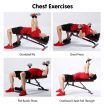 Powertrain Home Gym Bench Adjustable Flat Incline Decline FID