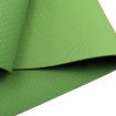 Powertrain Eco-Friendly TPE Yoga Pilates Exercise Mat 6mm - Green