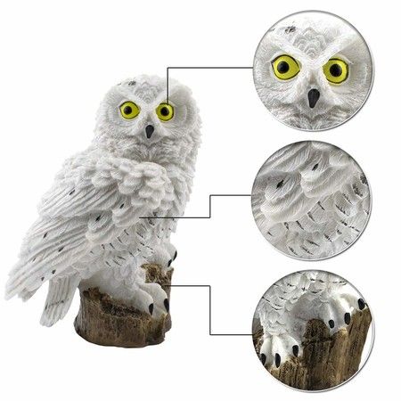 https://img.crazysales.com.au/products_pictures/241/241511_1918645_F.jpg