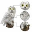Garden Solar Lights Outdoor Decorative Resin Owl Solar LED Lights with Stake for Garden Lawn Pathway Yard Decortions