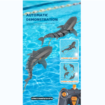 Remote Control Shark Toy with LED Light, Rechargeable Electric Toy RC Shark with 2 Battery Pool Toys for Kids,1:18 Scale 2.4G High Simulation Toy Shark for Swimming Bathroom Shark Pool Toys